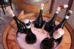 25-Jahre-GALL_Sekt