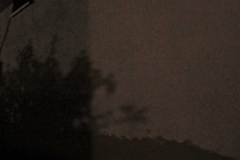 Earth Hour 2022 in Leimen, Bild 14