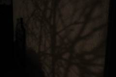 Earth Hour 2022 in Leimen, Bild 15