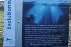 IMG_5644-e1548341481134