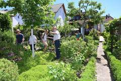 Im Bauerngarten ...