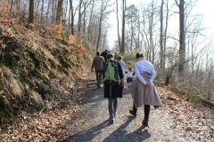 Richtung künftiger Walderlebnispfad