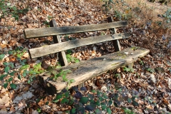 Im Dornröschenschlaf ...