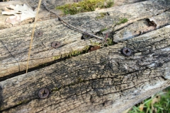 Wer mag sich setzen?