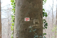 Hier geht es runter – aber wo führt der Weg eigentlich hin?