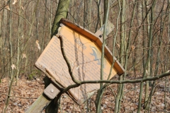 ... ausgerechnet das Wappentier des benachbarten Sportvereins geht am Krückstock.