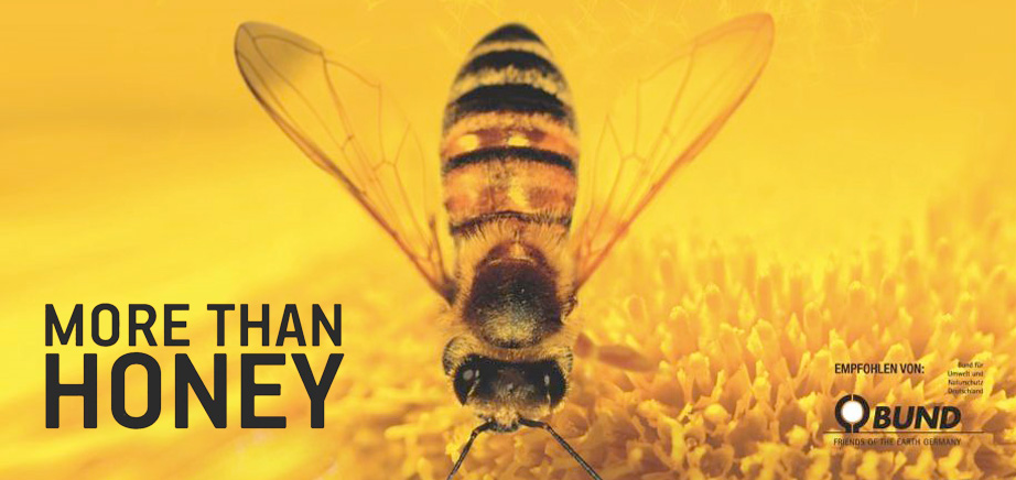 Filmtipp „More than Honey“