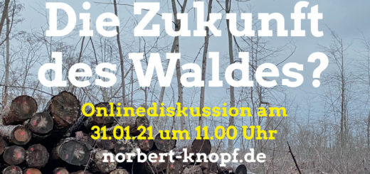 „Die Zukunft des Waldes?“