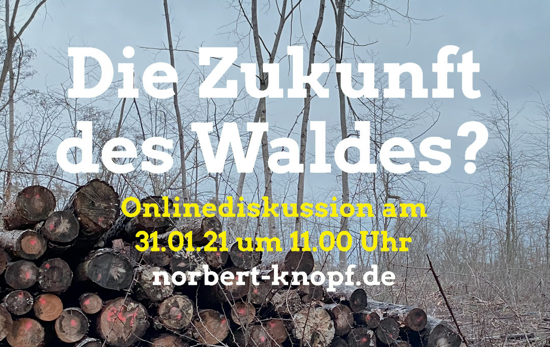 „Die Zukunft des Waldes?“