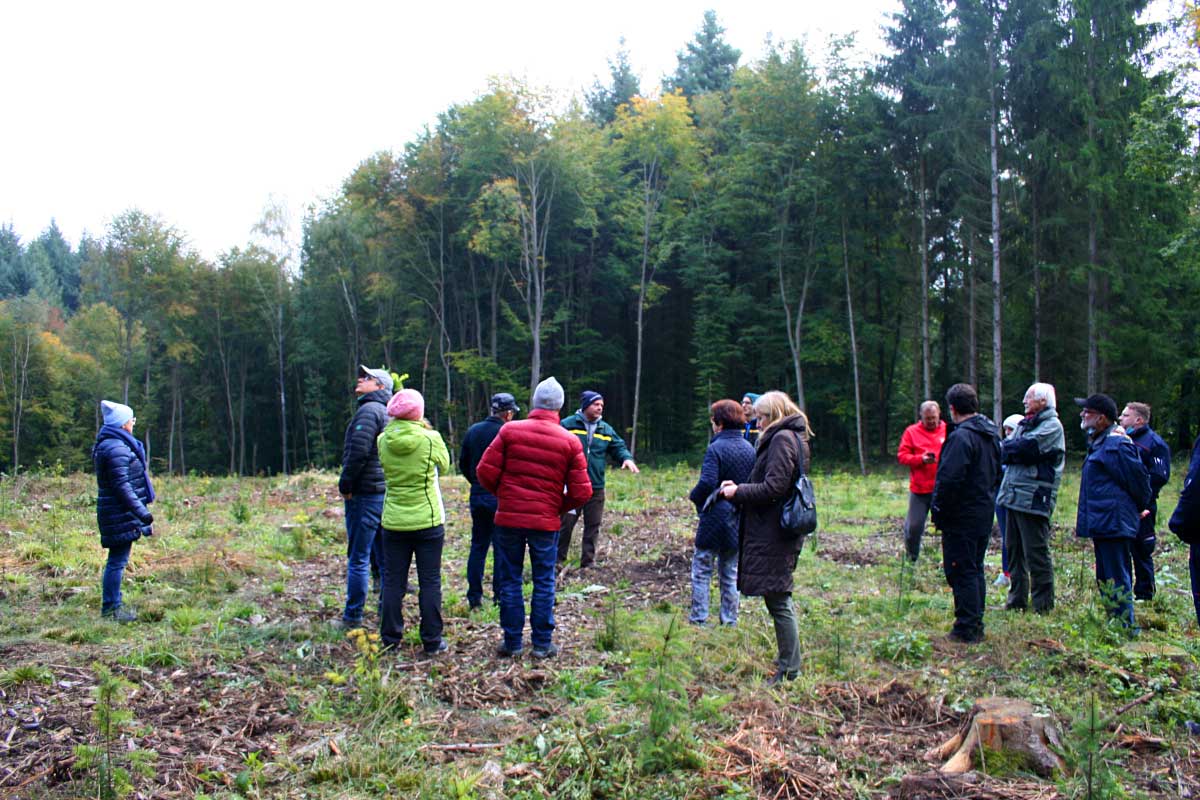 Waldbegehung 2021